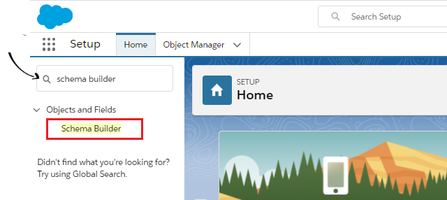 Access to Schema builder Salesforce